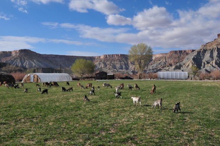 You'll Find Fresh Produce And Fresh-Baked Goodies At Mesa Farm Market In Utah
