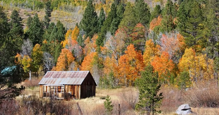 Take A 25-Mile Drive Through Nevada To See This Year's Beautiful Fall Colors