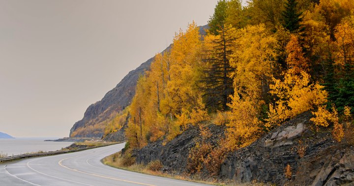 Take A 2-Hour Drive Through Alaska To See This Year's Beautiful Fall Colors