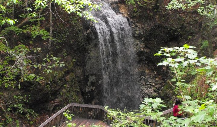 See The Tallest Waterfall In Florida At Falling Waters State Park