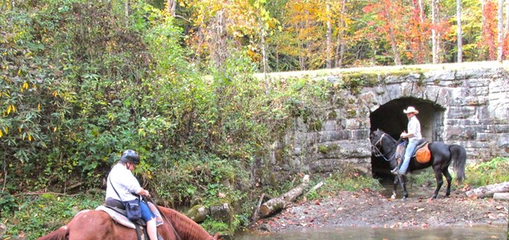 Enjoy Fall's Beauty On A Horseback Waterfall Tour At Smokemont Riding Stables In North Carolina