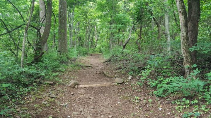 The Wooded Fox Hollow Trail In Virginia Will Lead You To A Haunting Cemetery