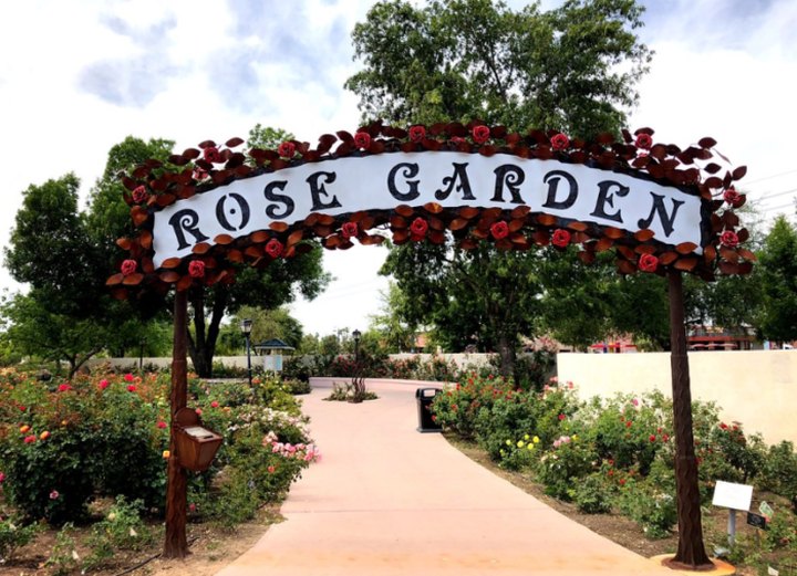 Stroll Through More Than 9,000 Rose Bushes During A Visit To The Rose Garden At Mesa Community College In Arizona