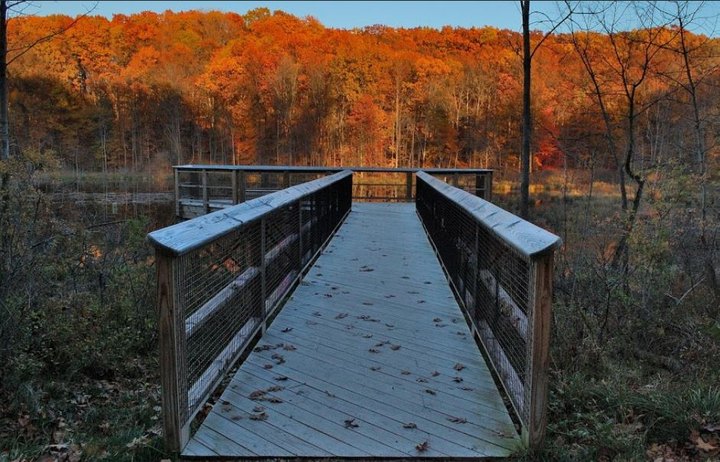 This Easy Fall Hike Near Cleveland Is Under 2 Miles And You'll Adore Every Step You Take