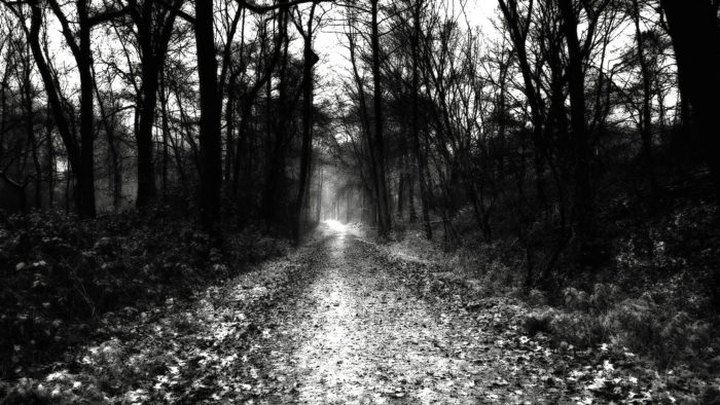 20 Acres Of Haunted Woods Await You At The Fright Trail In Louisiana
