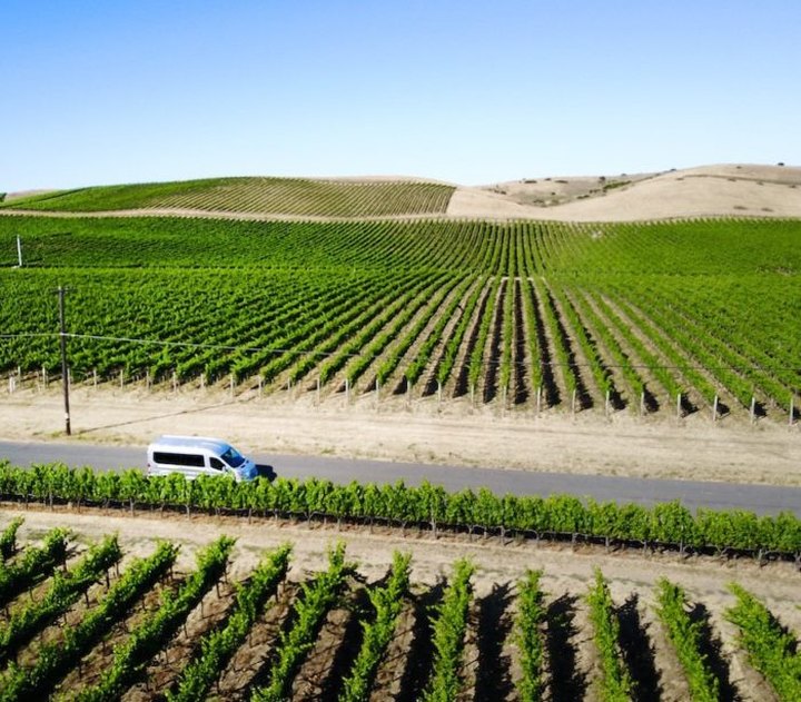 Platypus Wine Tours In Northern California Will Take You On A Delicious Journey Through Wine Country