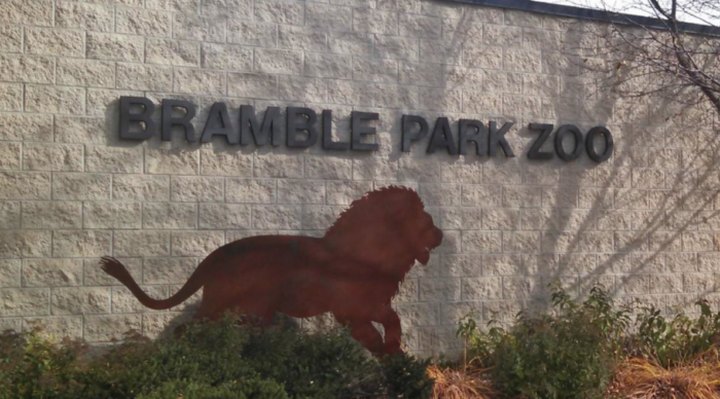 Play With Lemurs At Bramble Park Zoo In South Dakota For An Adorable Adventure