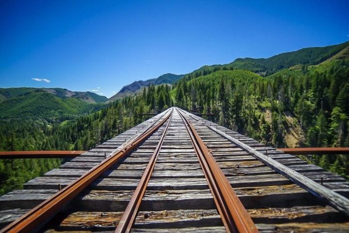 Most People Don’t Know The Story Behind Vance Creek Bridge In Washington