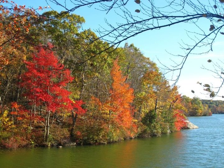 Lincoln Woods State Park Is The Most Peaceful Place To Experience Fall Foliage In Rhode Island