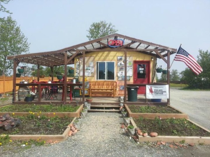The Cutest Coffee Shack In Alaska Is Nestled Along The Sterling Highway