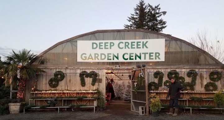 For Uniquely Colorful Christmas Trees, Head To Deep Creek Garden Center In Oregon