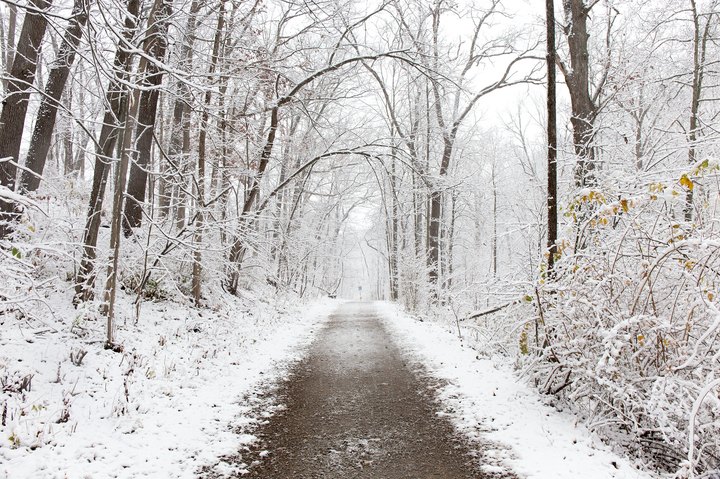 9 Picturesque Trails Around Detroit That Are Perfect For Winter Hiking