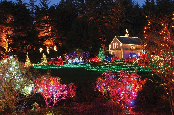 Adventure Through An Enchanted Wonderland Of Lights And Activities At Shore Acres State Park In Oregon