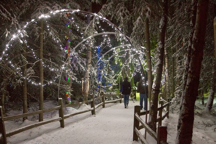 Banish The Winter Darkness At The Holiday Themed Zoo Lights In Alaska