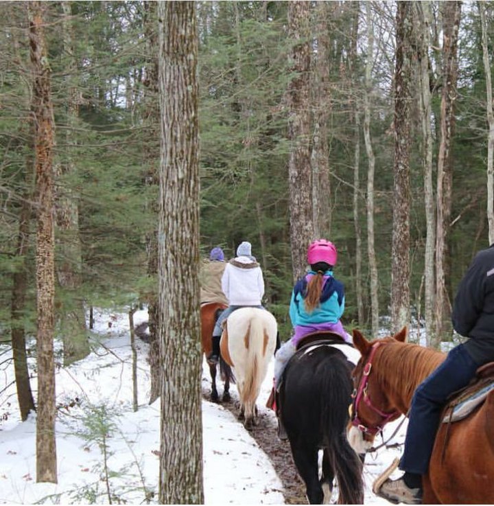 Explore The Snowy Pocono Mountains On Horseback On This Unique Winter Tour In Pennsylvania