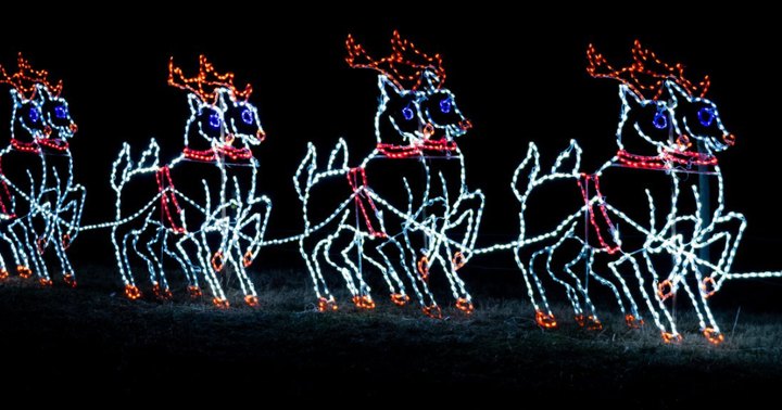 Enjoy Thousands Of Twinkling Lights On The Holiday Hayride At Lights On The Neuse In North Carolina