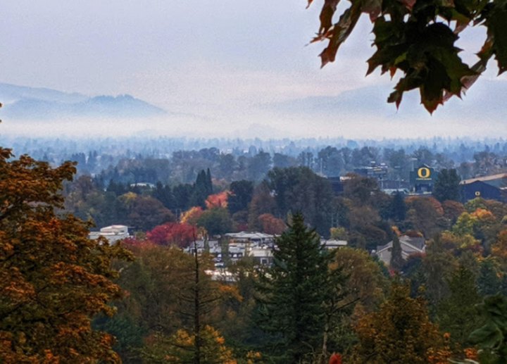 The Fall Foliage Views At Oregon's Skinner Butte Park Simply Can't Be Beat