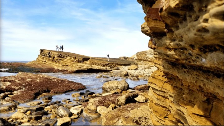 Enjoy A Dreamy Hiking Trail With An Amazing View At The Point Loma Tide Pools And Bluffs Trail In Southern California