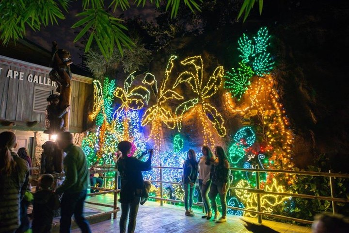 Zoo Lights In Texas Has An Adults-Only Night This Holiday Season With Wine And Beer