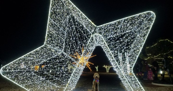 Take An Enchanted Stroll Through Edmond Electric's Luminance For A Holiday Event To Remember In Oklahoma