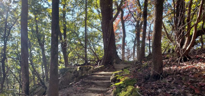 Hike This Stairway To Nowhere In South Carolina For A Magical Woodland Adventure