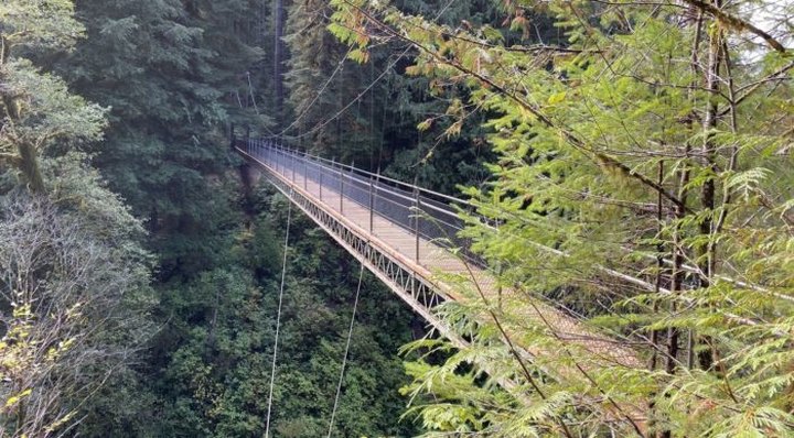 Walk Across A 240-Foot Suspension Bridge On The Drift Creek Falls Trail In Oregon