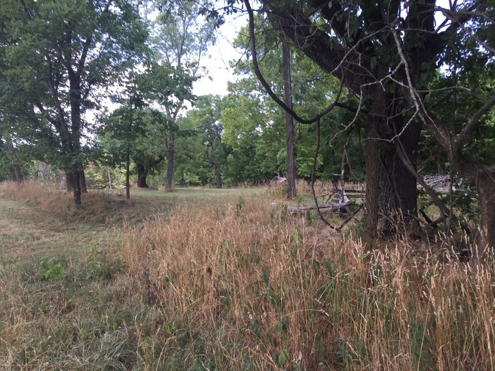 The Arkansas Forest Trail That Holds Long Forgotten Secrets Of The Civil War