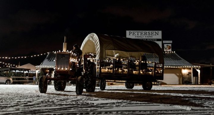 Take A Wagon Ride Through An Idyllic Christmas Tree Farm At Petersen Family Farm In Utah