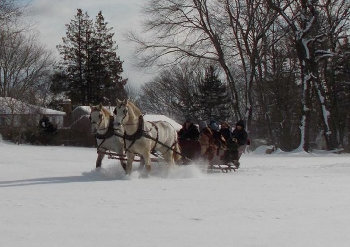 Embark On An Enchanting Horse-Drawn Carriage Ride At Allegra Farm In Connecticut