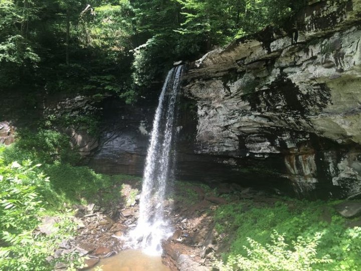 Falls Of Hills Creek Trail Is A Beginner-Friendly Waterfall Trail In West Virginia That's Great For A Family Hike