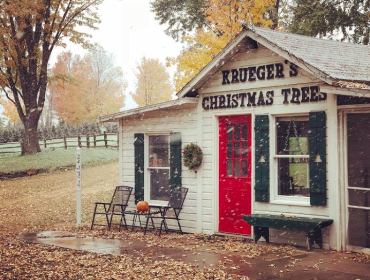 Take A Sleigh Ride Through An Idyllic Christmas Tree Farm At Krueger’s Tree Farm In Minnesota