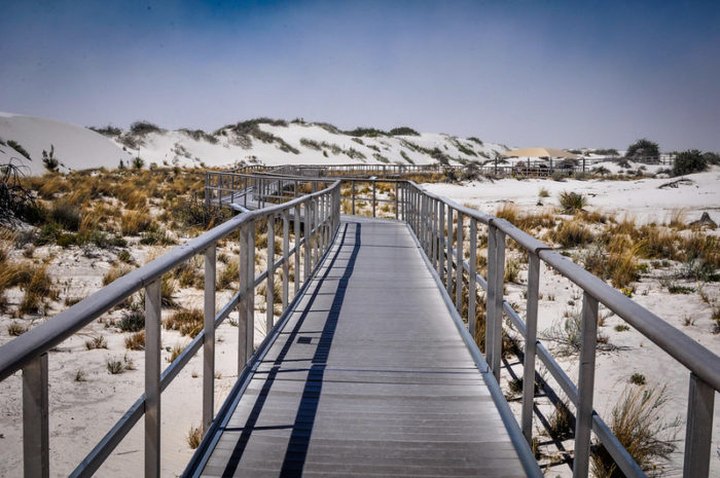 The Interdune Boardwalk Trail In New Mexico That Leads To Incredibly Scenic Views