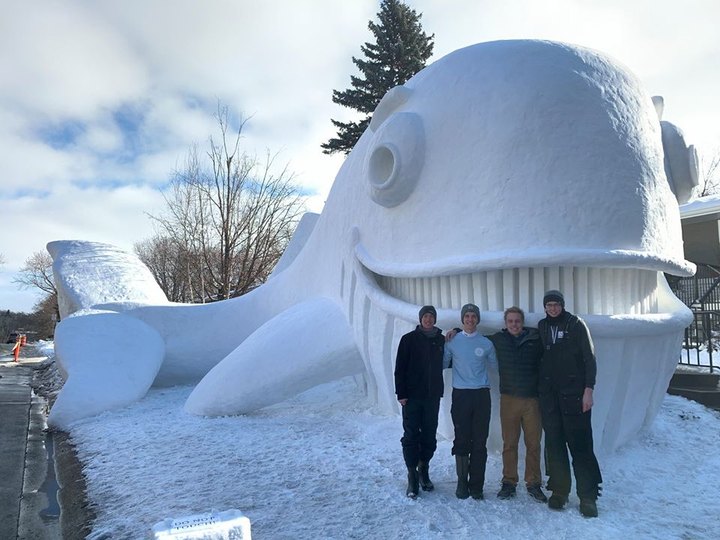 Seeing The Bartz Family Snow Sculptures In New Brighton, Minnesota, Will Be Your Favorite Winter Memory