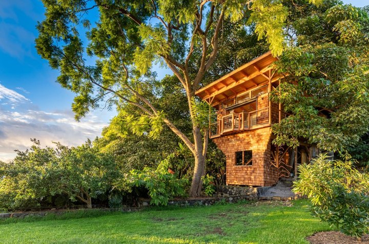 The Dreamy Treehouse Tucked Away Above The Hawaiian Coast Is A Perfect Getaway