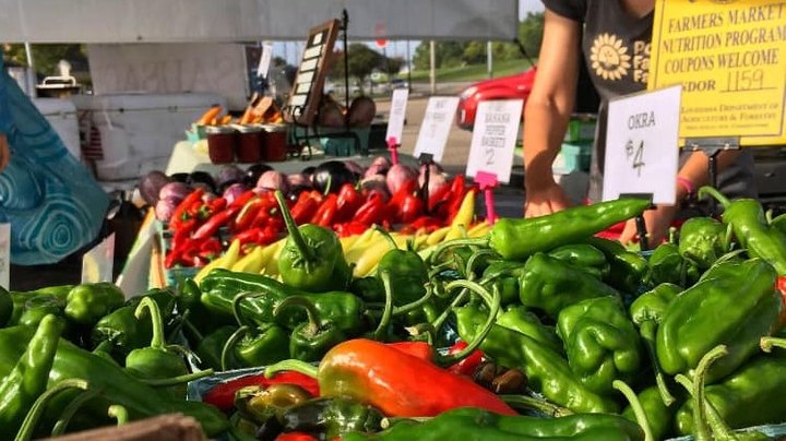 You'll Find Endless Fresh And Delicious Options At The Crescent City Farmers Market In New Orleans
