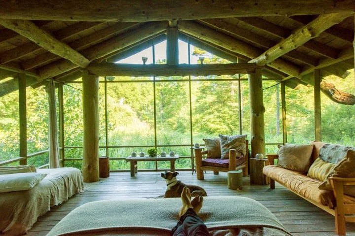 Surrounded By Screens, Go Glamping At The Enchanting Pondhouse Airbnb In Massachusetts
