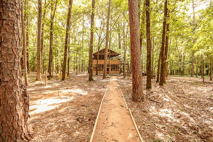 Sleep Among Towering Oaks And Pines At The Tree House In Tyler, Texas