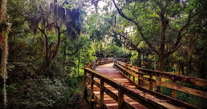 Challenger Seven Park Loop Is A Boardwalk Hike In Texas That Leads To Incredibly Scenic Views