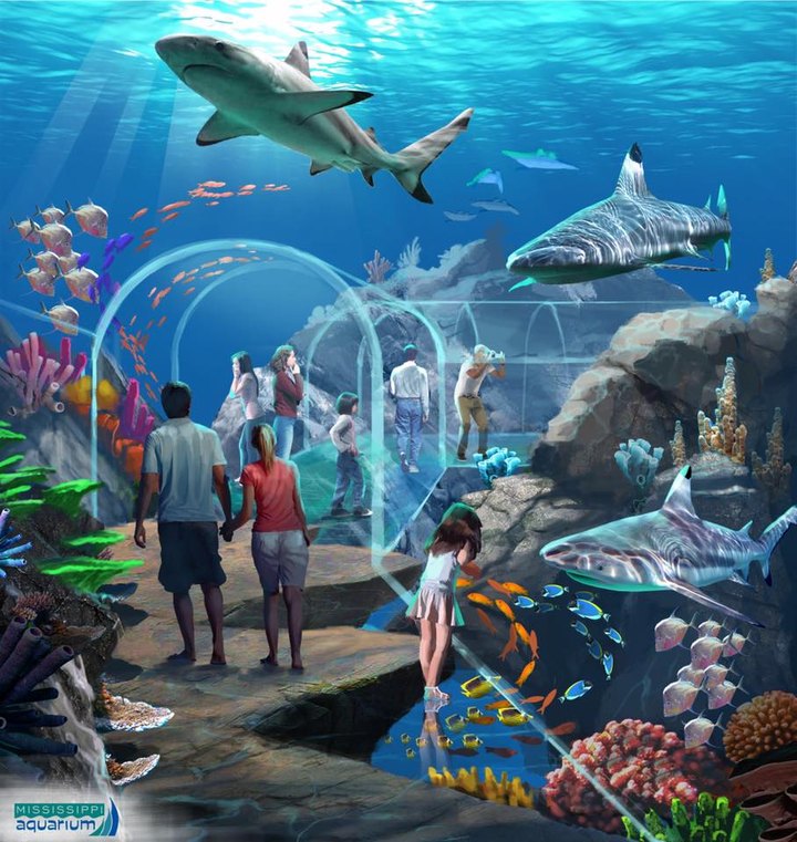 The Mississippi Aquarium Is Opening In April And You'll Want To Visit  