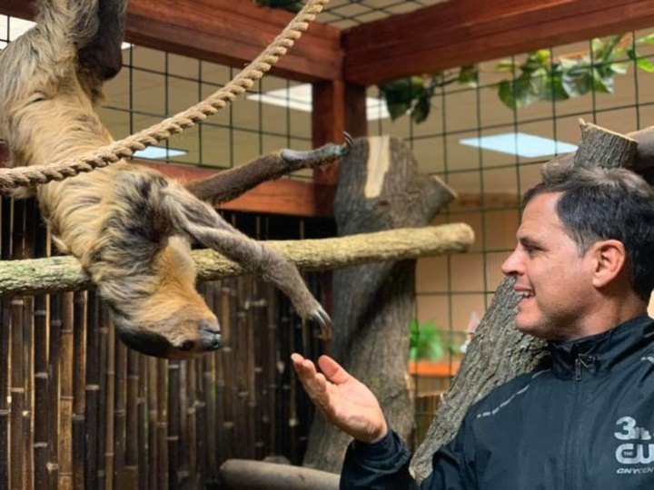 Hold And Feed A Sloth In New York At The Wild Animal Park's Newest Sloth Encounters Exhibit