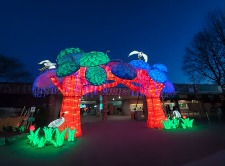 You Can Still See Kentucky's Stunning Lantern Festival With A Behind The Scenes Virtual Tour