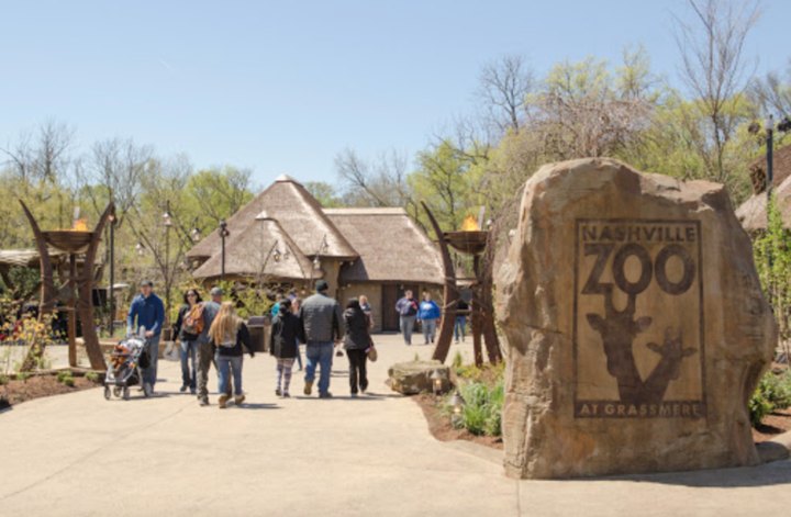 Take A Boozy Adults-Only Safari At The Nashville Zoo This Spring