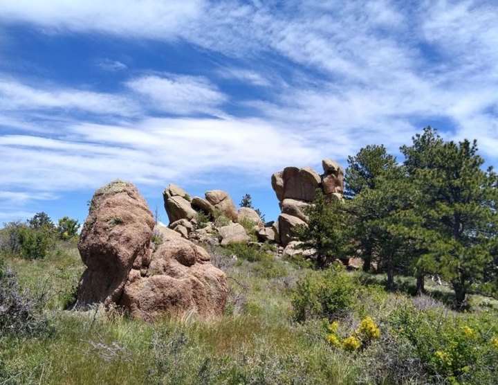 Find The First Signs Of Spring In Wyoming Along Stone Temple Circuit In Curt Gowdy State Park