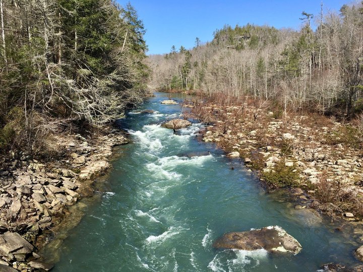 Follow The River On This Simple 4-Mile Hike Through The Woods In Tennessee