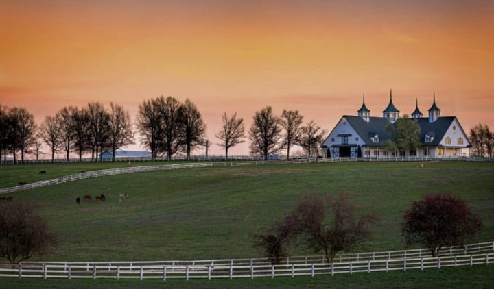 The Most-Photographed Horse Farm In The Country Is Right Here In The Heart Of Kentucky