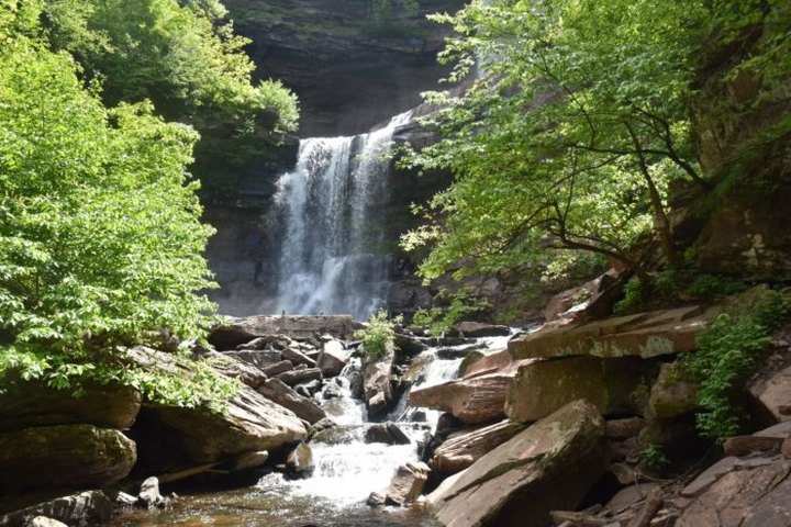 See The Tallest Waterfall In New York In Kaaterskill Wild Forest