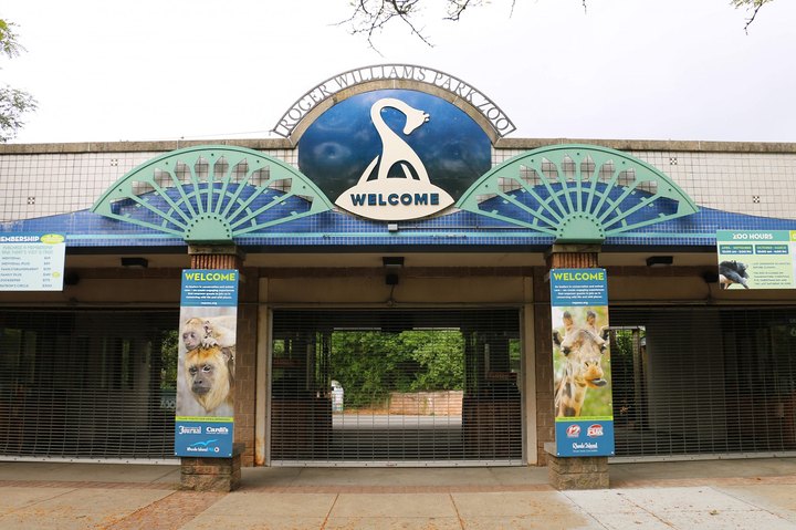 Your Little Rhode Islanders Will Absolutely Love The New Zoo School