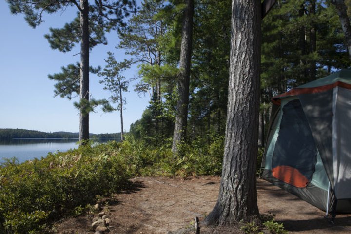 You Can Now Reserve Your Favorite Campsites In New York For 2021