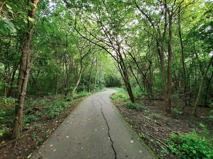 9 Trails In Metro Detroit You Must Take If You Love The Outdoors