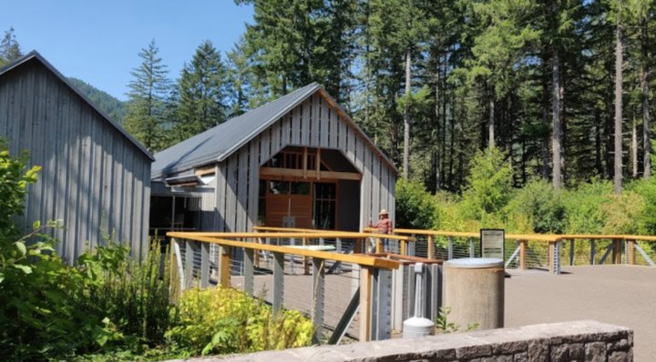 Admission-Free, The Tillamook Forest Center In Oregon Is The Perfect Day Trip Destination
